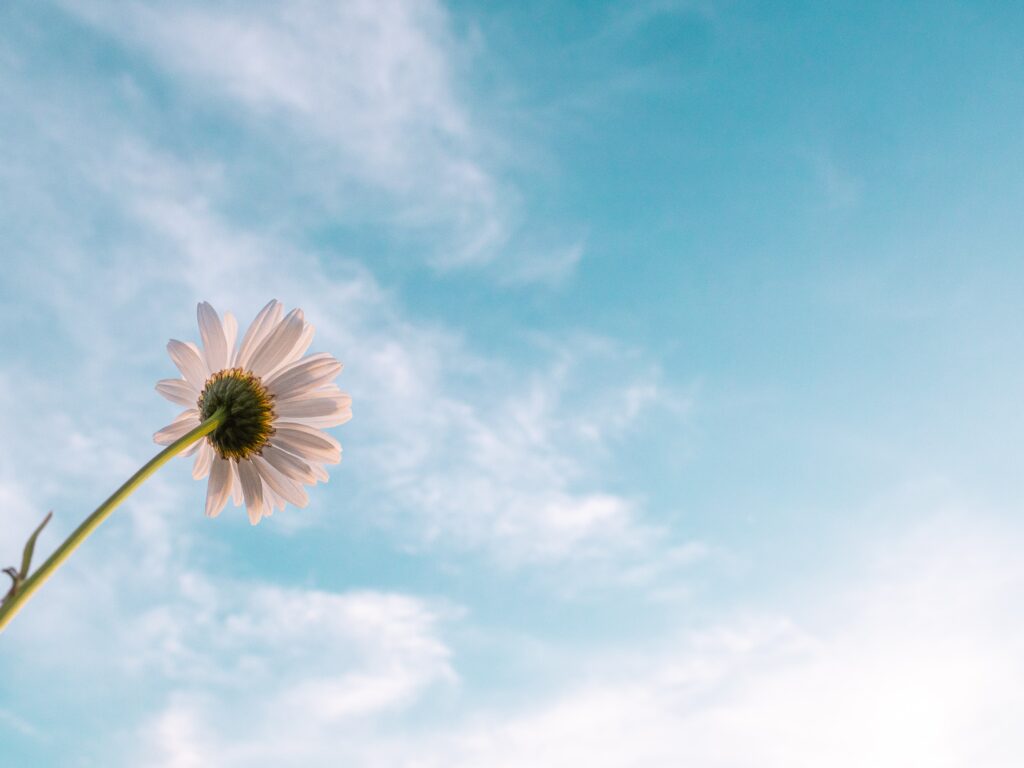 Don’t Give Up!