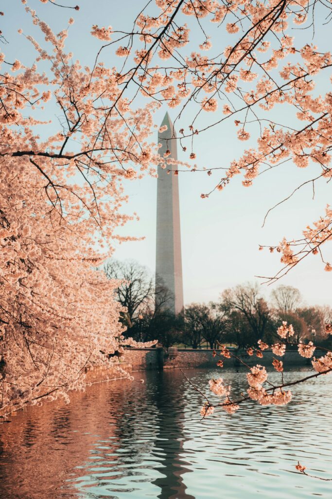 Welcome to Washington, D.C.
