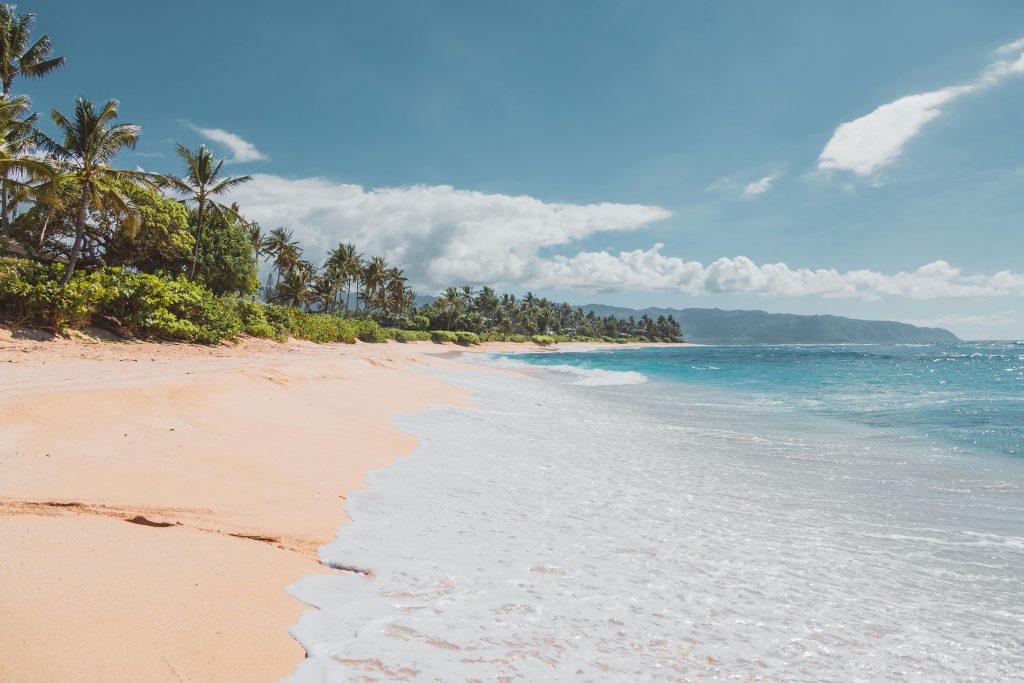 Two Summer Programs: Bavaria and Hawaii